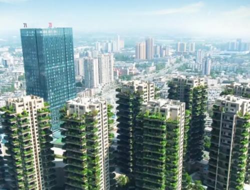关于《重庆市城市立体绿化鼓励办法》的政策解读