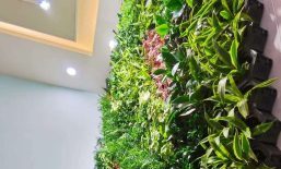 植物墙模块，专用格箱通风透气，杜绝蚊虫！
