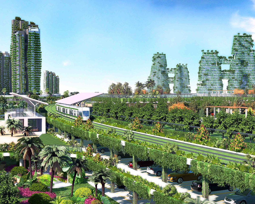 规划城市绿化