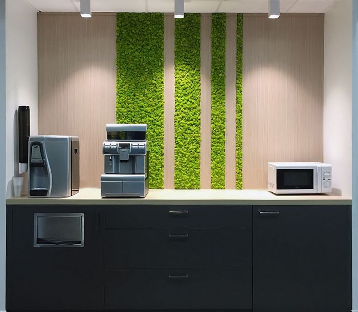 办公室植物墙设计
