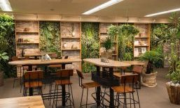 办公室植物墙设计，值得推荐的10个经典案例分享