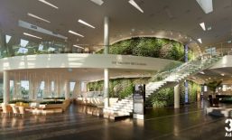 办公室植物墙，3XN办公楼惊艳的垂直花园景观