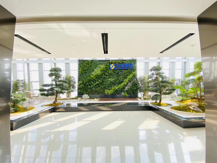 公司绿植形象墙，办公室大堂室内垂直绿化景观