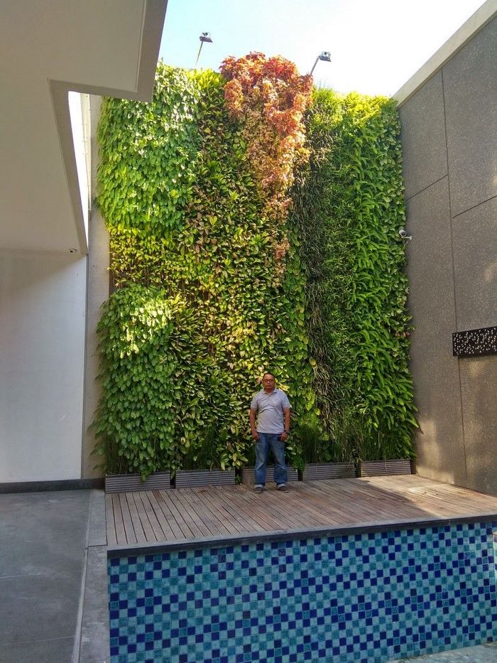 植物墙效果图大全