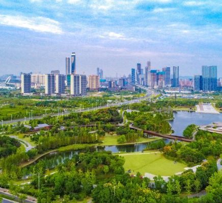 《徐州市全面落实科学绿化实施意见》出台