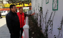 垂直绿化助力“美丽杭州迎亚运”——2022年杭州“植藤节”正式开幕