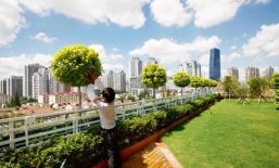 泉州：进一步提升城市颜值和品质 “绿满泉城”三年行动启动
