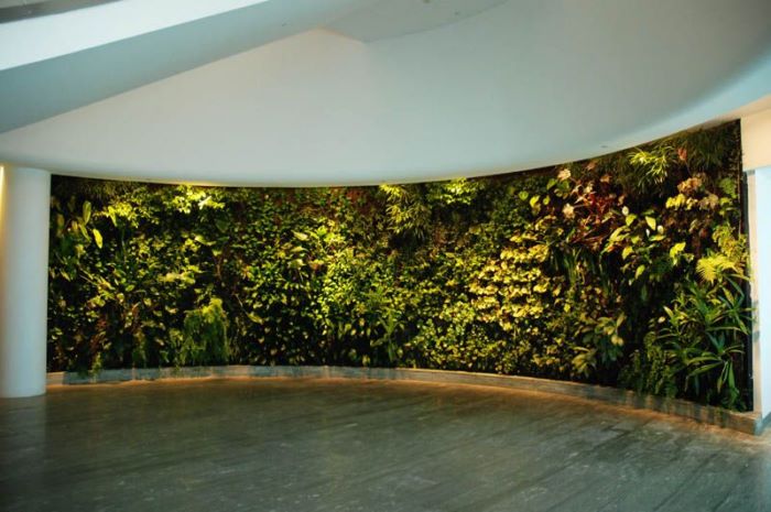 12.21植物墙效果图大全：公装装修搭配案例